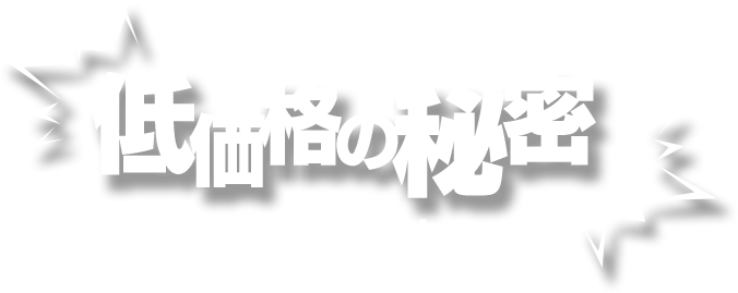 低価格の秘密 製品の流れ